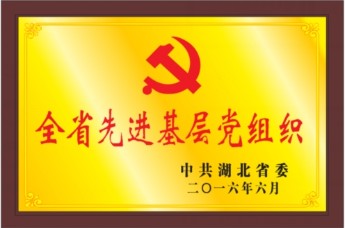湖北省先進基層黨組織